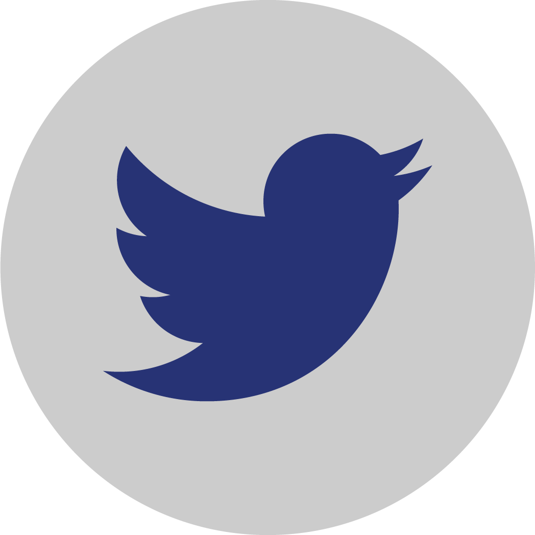 Twitter Gray Icon