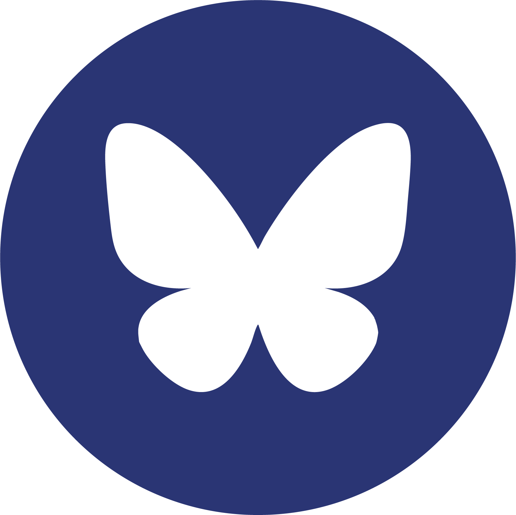 blue-white bluesky logo