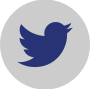 Twitter Gray Icon